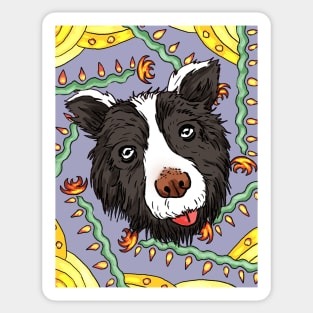 Boop the Snoot Border Collie Sticker